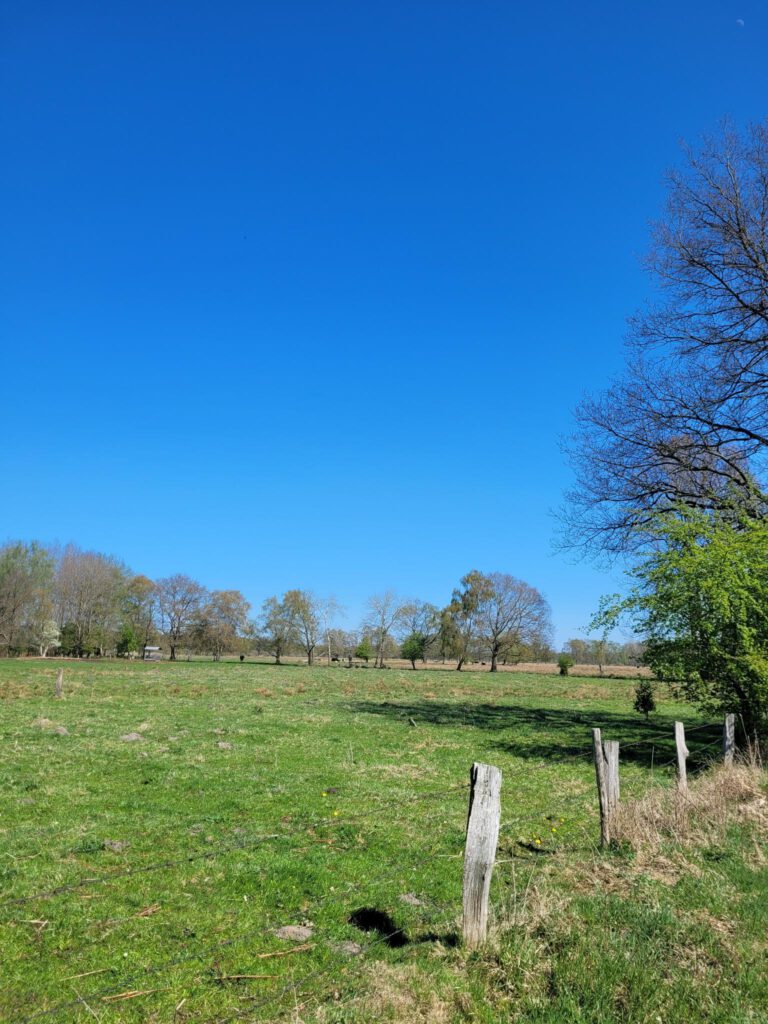 Grüne Kreistagsfraktion besucht „Ein Stück Land“ in Kayhude